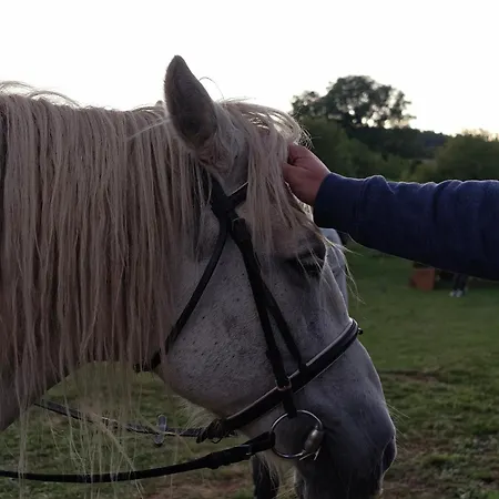 Zemunice Knezevic Pribjeći *
