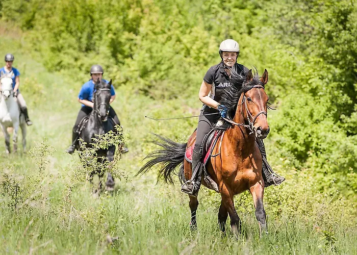 Resort Zemunice Knezevic
