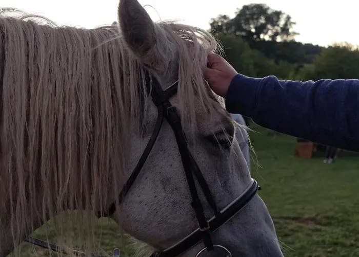 Zemunice Knezevic Resort *