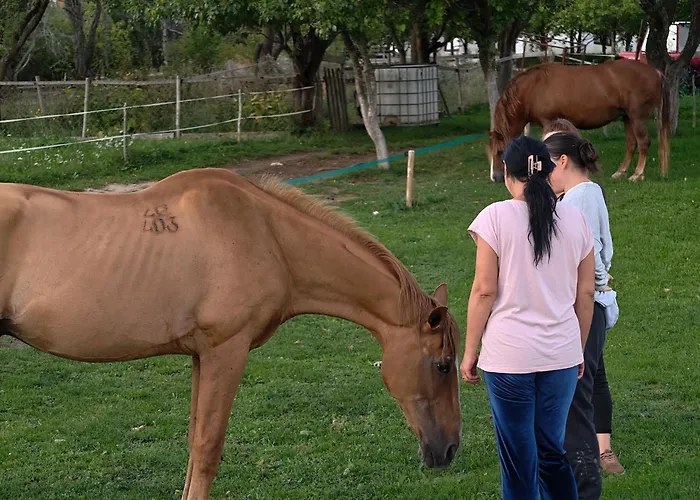 Resort Zemunice Knezevic